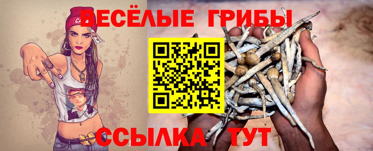 Кохма  Галлюциногенные грибы Magic Shrooms  Вход с VPN 